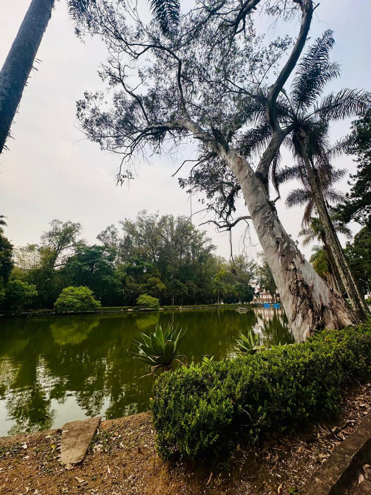 Apartamento Condominio Quisisana Centro Pocos De Caldas Lazer Completo, Uma Estrutura De Resort Exteriör bild
